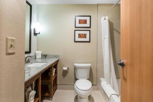 Comfort Suites - University - image 2