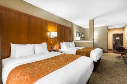 Comfort Suites - University - image 4