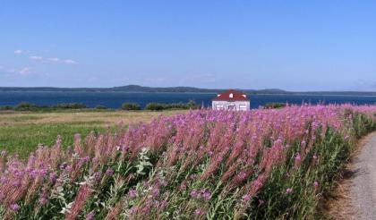West Quoddy Station - image 11