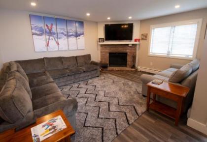 Okemo Mountain Lodging - image 4