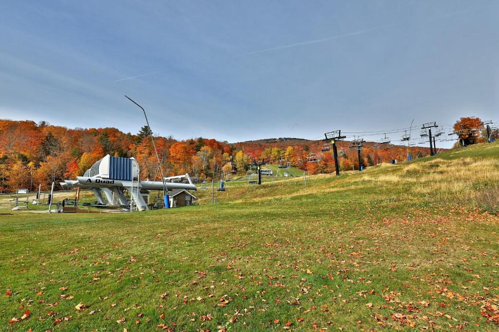 Aspen in Okemo - main image