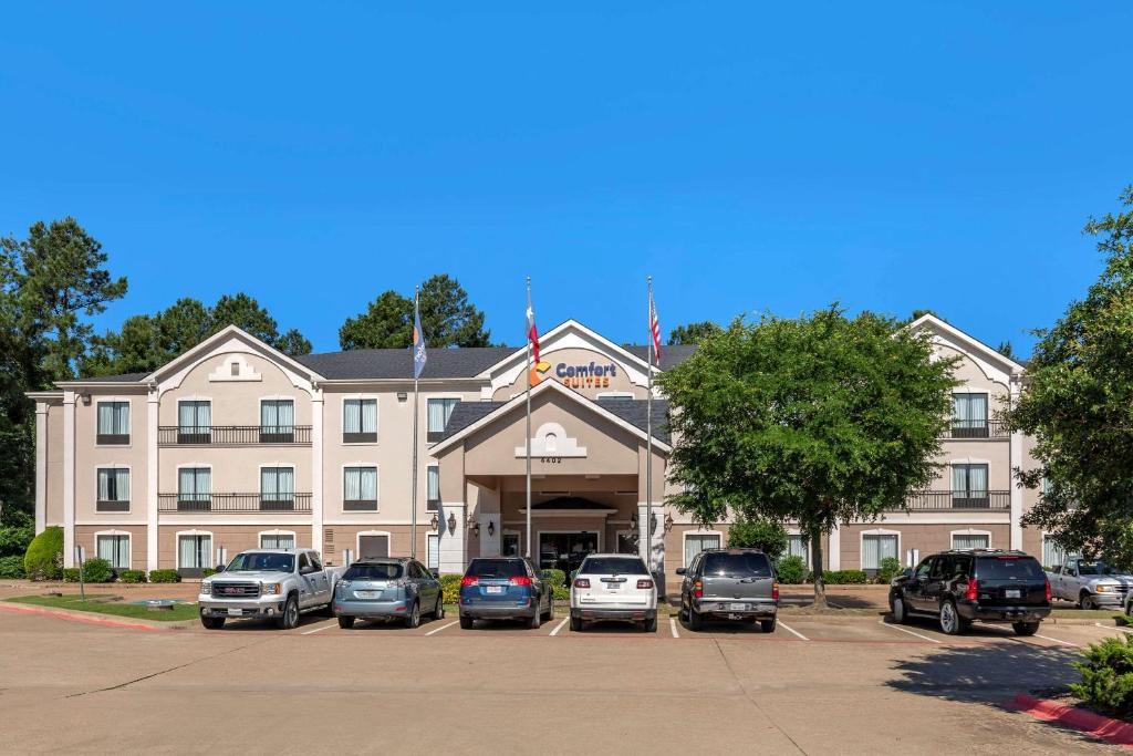 Comfort Suites Lufkin - image 4