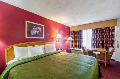 Quality Inn - image 8
