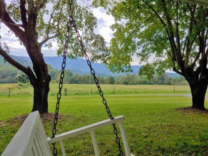 B & A_Lake_Cottage - image 2