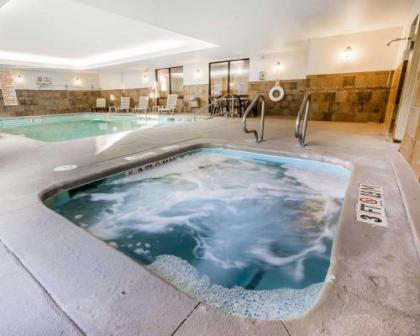 Comfort Suites Macon - image 2