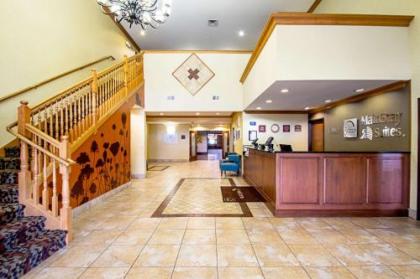 Sleep Inn & Suites Madison - image 2