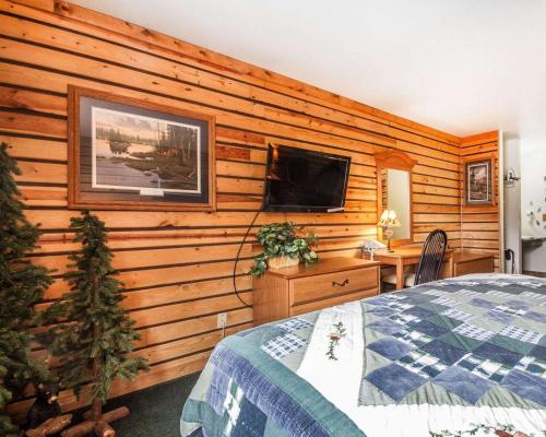 Rodeway Inn & Suites Wisconsin Madison-Northeast - image 2