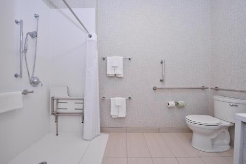 Holiday Inn Express & Suites Madison an IHG Hotel - image 2