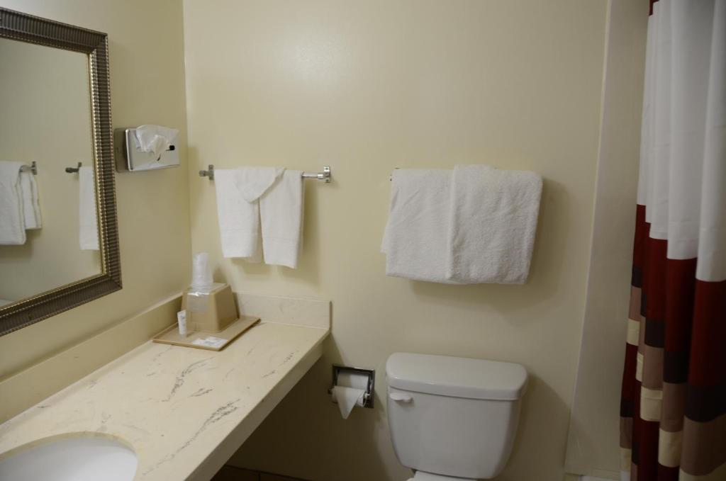 Big Spring Inn Madisonville - image 2