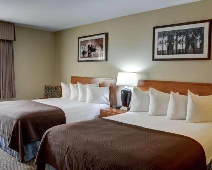 Quality Inn - image 12