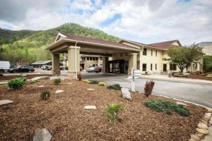 Comfort Inn near Great Smoky Mountain National Park