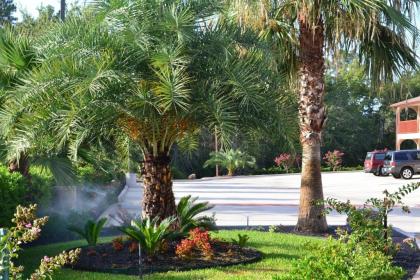 Executive Inn & Suites Magnolia - image 2