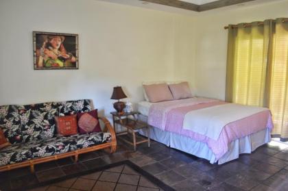 Banyan Tree B&B Retreat - image 6