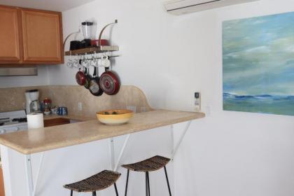 Malibu Private Beach Apartments - image 15