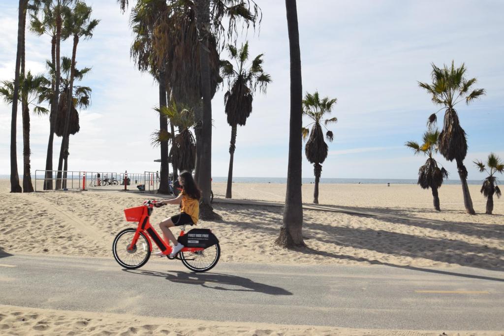 Malibu Private Beach Apartments - image 2
