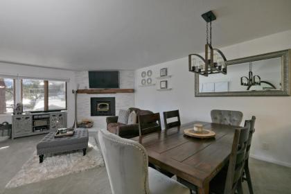 Mountainback 91 - image 5