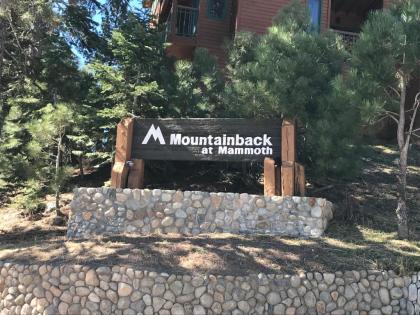 Mountainback #71 - image 3