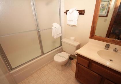 Mountainback #53 Loft - image 3
