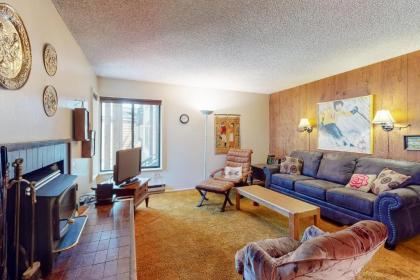 Fireside at the Village - image 9