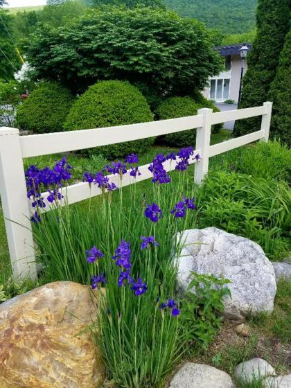 Toll Road Inn - image 21