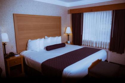 Best Western PLUS Executive Court Inn & Conference Center - image 21