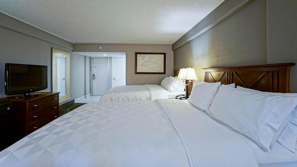 Holiday Inn At the Campus an IHG Hotel - image 4