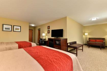 Comfort Inn and Suites Manheim - image 11