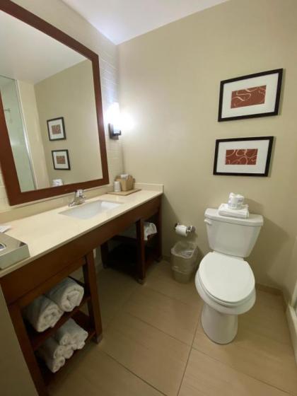 Comfort Suites Manheim - Lancaster - image 14