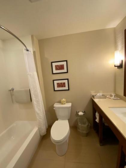 Comfort Suites Manheim - Lancaster - image 15