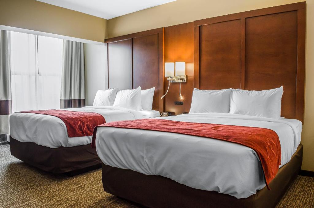 Comfort Suites Manheim - Lancaster - image 4