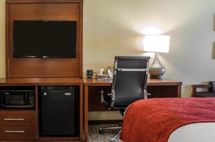 Comfort Suites Manheim - Lancaster - image 5