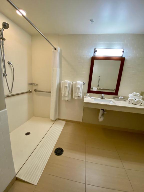 Comfort Suites Manheim - Lancaster - image 7