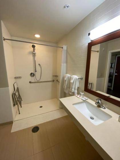 Comfort Suites Manheim - Lancaster - image 9
