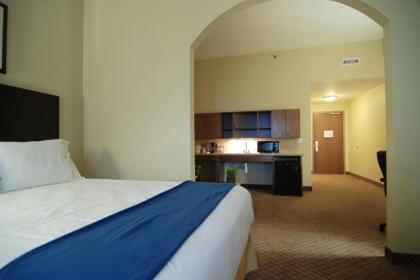 Holiday Inn Express Hotel & Suites Mankato East an IHG Hotel - image 21
