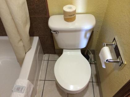 Lake Shore Motel - image 13