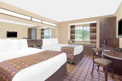 Microtel Inn & Suites Mansfield PA - image 10