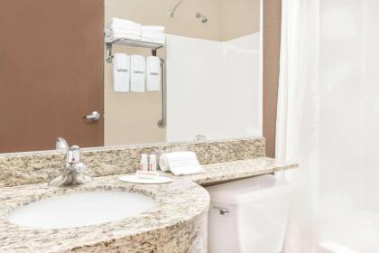 Microtel Inn & Suites Mansfield PA - image 7
