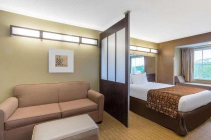 Microtel Inn & Suites Mansfield PA - image 8