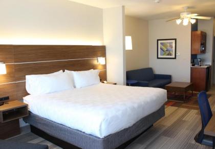 Holiday Inn Express Hotel & Suites Mansfield an IHG Hotel - image 21
