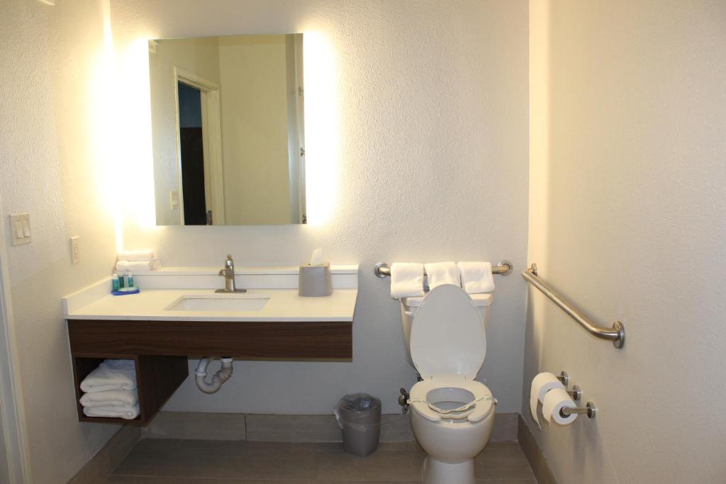 Holiday Inn Express Hotel & Suites Mansfield an IHG Hotel - image 7
