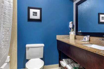 Comfort Inn & Suites Mansfield - image 14