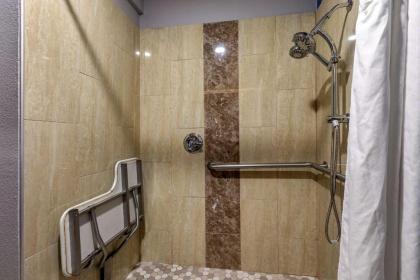 Comfort Inn & Suites Mansfield - image 8