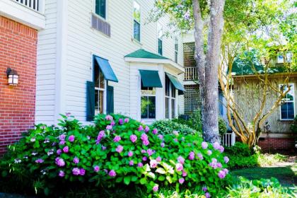 Roanoke Island Inn - image 8