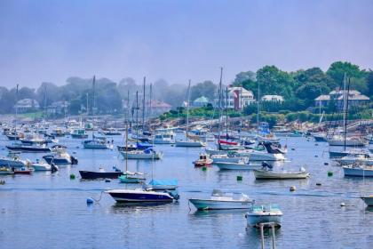 Harbor Walk - image 4