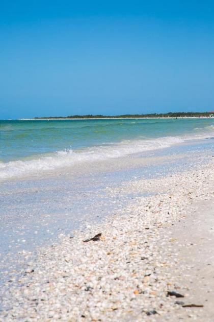 End Unit Steps from Beach Access w/ No Crazy Beach Prices!!! - image 6