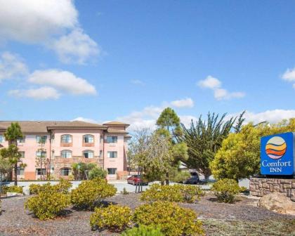 Comfort Inn - image 4