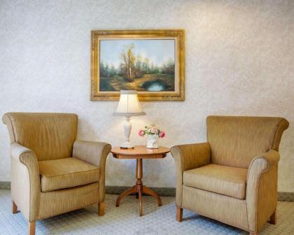Comfort Inn - image 5