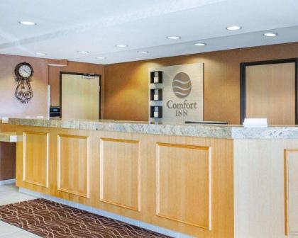 Comfort Inn - image 9
