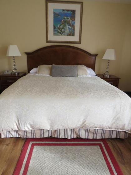 Laguna Lodge - image 2