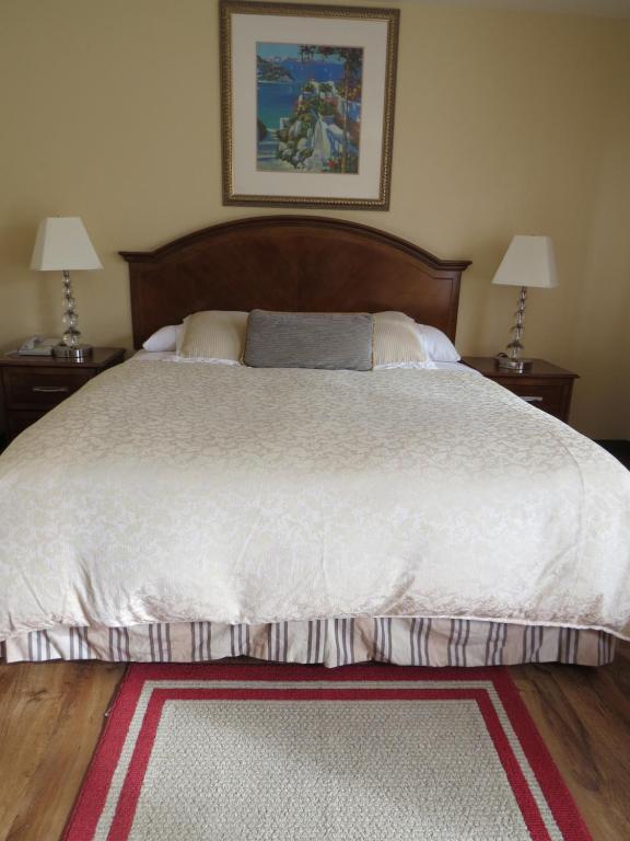 Laguna Lodge - image 2